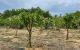 thum-9198561_An1KbUCo0E_1749716202.jpg