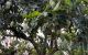 thum-9198678_jewP8MyOVY_1749785262.jpg