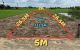 thum-9198767_sR8CJoKGm9_1749809120.jpg
