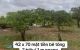 thum-m_lVyA8IWShe_1749813435.jpg