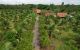 thum-9198851_bcnOZW06kM_1749870647.jpg