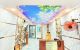 thum-m_nTjX7MQCyh_1749994565.jpg