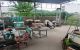 thum-9199054_mbrYuIw8id_1750038639.jpg