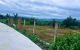 thum-9199077_N2AnLsqOza_1750042660.jpg