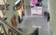 thum-9199158_ZtyBOg4Wdk_1750075434.jpg
