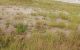 thum-9199512_hnXY8BplTc_1750242979.jpg