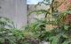thum-9199563_w0dUecG2Ty_1750291269.jpg