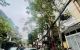 thum-9199655_0bgkOMzdDh_1750318833.jpg