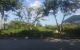 thum-9199850_kIstKfMOhG_1750402495.jpg