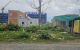 thum-9199895_lxpFmrge75_1750410586.jpg