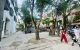 thum-m_cKzCLRSHEO_1750402150.jpg
