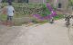 thum-m_0WNsaXGnSv_1750484144.jpg