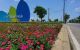thum-m_RoIOXYmGEK_1750473424.jpg