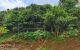 thum-9200063_8PVQ6vgp3D_1750525453.jpg