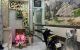 thum-9200235_ZwELVs8APh_1750659253.jpg