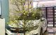thum-m_9Y67lWqkiw_1750646932.jpg