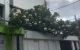 thum-m_twYI9A7pUc_1750769246.jpg