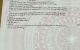 thum-9200530_EsXep68xDT_1750815357.jpg