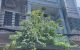 thum-m_yu9vkSxF3C_1751108297.jpeg