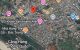 thum-m_vyqOKnSMGL_1751204237.jpg