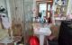 thum-9201354_hHd9TX8YR1_1751252323.jpg