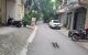 thum-m_4Nce5kGLOR_1751301735.jpg