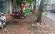 thum-9201632_EjRcSx8mit_1751358345.jpg
