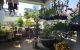 thum-9201682_okHe5M3Z0E_1751374876.jpg