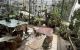 thum-9201699_MyHoCzeYw7_1751382201.jpg
