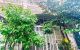 thum-m_cNTzmPHu9V_1751363122.jpg