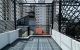 thum-9201739_fypG1Xk92x_1751423370.jpeg