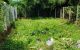 thum-9202268_XThL5CktiO_1751705572.jpg