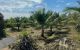 thum-m_LjXorbaWkv_1751850240.jpg