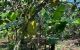 thum-m_jR9M80Dwx7_1751964850.jpg