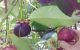 thum-9202795_UdC2Vxz1mo_1752033240.JPG