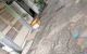 thum-m_olb9AJQGcn_1752153744.jpg