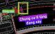 thum-9203129_mqepdrbDOs_1752200952.jpg