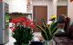 thum-9203139_IapNGEKFMW_1752202889.jpg