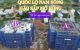 thum-9203199_8my4Pp2JxC_1752217999.jpg