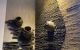 thum-9203320_uRFzbkDmU1_1752253047.jpg