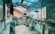 thum-9203333_3tRqudZ9Db_1752276954.jpg