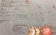thum-9203476_MQ2eiUwThz_1752335649.jpg