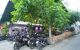 thum-9203504_f2l4KCwAtv_1752385173.jpg