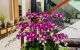 thum-9203539_42ed8GVh0t_1752418438.jpg