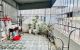 thum-9203557_oqnIgSWFjz_1752451004.jpg