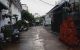 thum-9203917_rT9HPFmCGg_1752633391.jpg