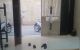 thum-9203990_zZgRaBMDqu_1752651071.jpg