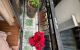 thum-9204213_gZ7HV9hJNd_1752756596.jpg