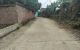 thum-9204341_bVcDSp18LO_1752828362.jpg