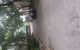 thum-m_gmvRF6H5ac_1752801884.jpg